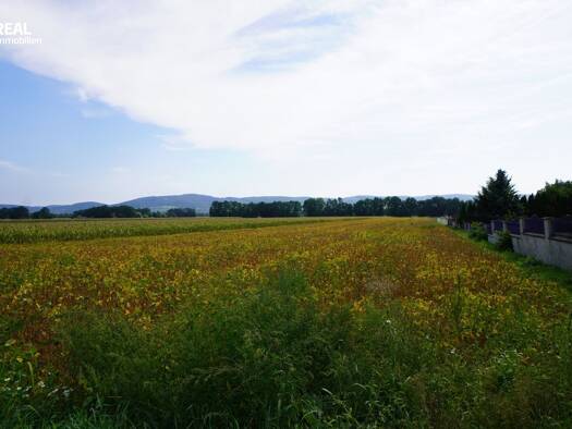 Grundstück zum Kauf 392.000 € 1.729 m² Grundstück Frauenhofen 3430