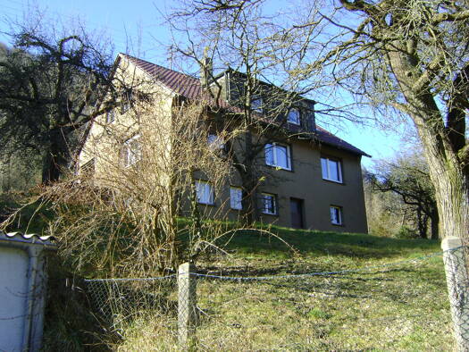WG-Zimmer zur Miete 400 € 21 m² frei ab sofort Bleichstraße 21 Geislingen Geislingen an der Steige 73312