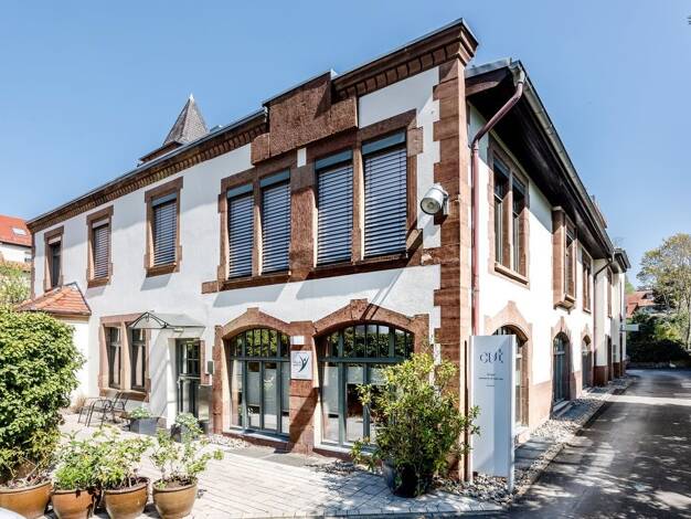 Bürofläche zur Miete 18 € 200 m² Bürofläche teilbar ab 200 m² Helmholtzstr. 8 Neuenheim Heidelberg 69120