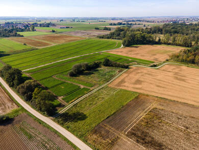 Land-/Forstwirtschaft zum Kauf 119.288 € 9.176 m² Grundstück Dengling Dengling 93099