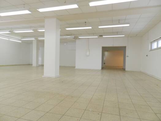 Freifläche zur Miete 7,50 € 296 m² Lagerfläche Charlotte-E.-Pauly-Straße 12 Friedrichshagen Treptow-Köpenick 12587
