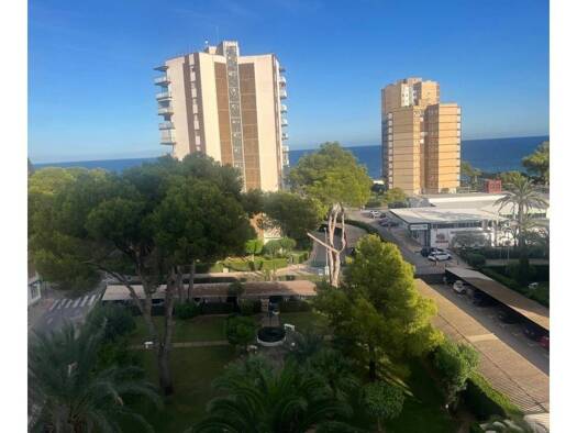 Wohnung zur Miete 550 € 1 Zimmer 40 m² Orihuela 03189