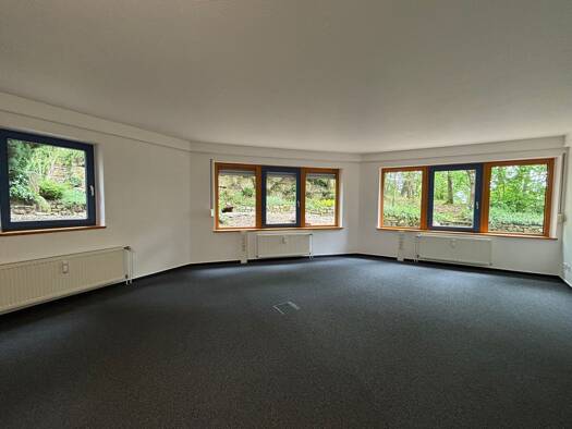 Bürofläche zur Miete provisionsfrei 375 € 58 m² Bürofläche Industriepark 17 Wiebelsheim 56291