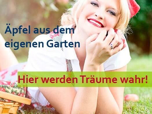 Einfamilienhaus zum Kauf provisionsfrei 432.232 € 4 Zimmer 125 m² 1.400 m² Grundstück Schwarzenbach a Wald Schwarzenbach am Wald 95131