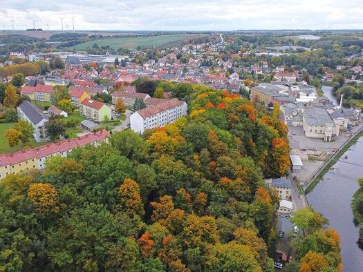 Grundstück zum Kauf 49.000 € 16.290 m² Grundstück Penig 09322