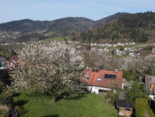 Grundstück zum Kauf 195.000 € 589 m² Grundstück Bühlertal 77830