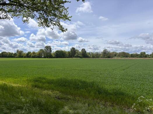 Land-/Forstwirtschaft zum Kauf 576.125 € 4.609 m² Grundstück Ismaning Ismaning 85737