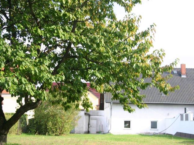 Doppelhaushälfte zum Kauf 150.000 € 3 Zimmer 108,2 m² 1.161 m² Grundstück Frankfurt Frankfurt (Oder) 15234