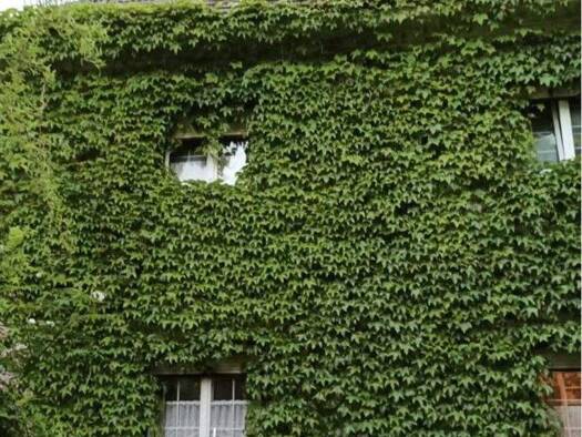 Grundstück zum Kauf provisionsfrei 724 m² Grundstück Traunstein 83278