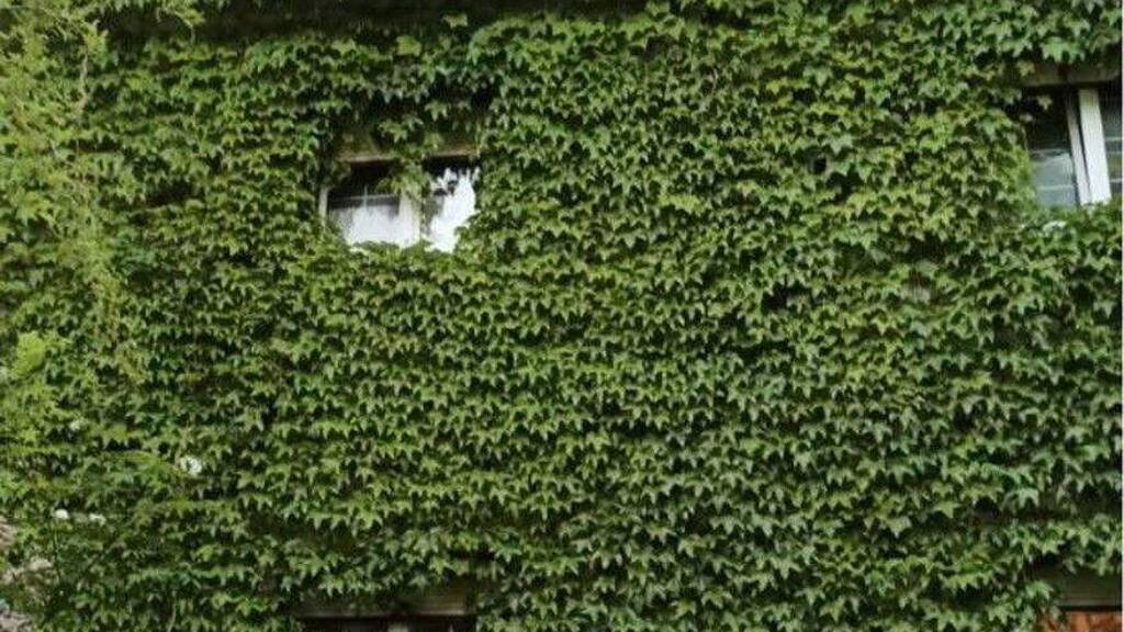 Grundstück zum Kauf provisionsfrei 724 m² Grundstück Traunstein 83278