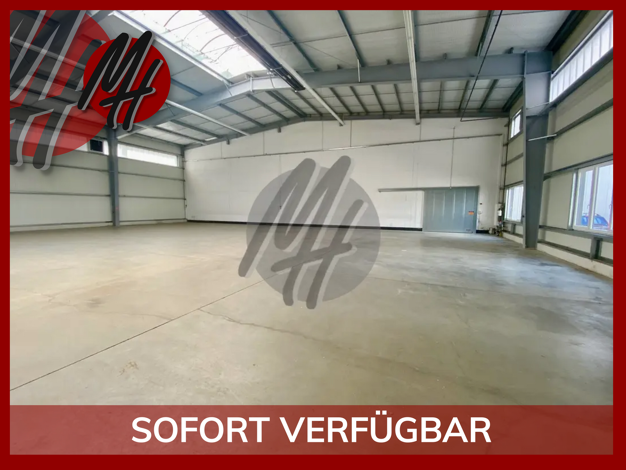 Halle/Industriefläche zur Miete 6,50 € 1.900 m² Lagerfläche Gernsheim 64579