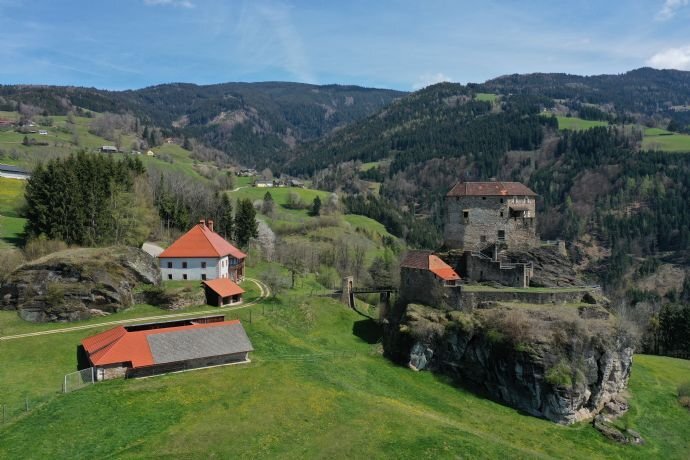 Immobilie zum Kauf 1.500.000 € 500 m²<br/>Fläche 72.514 m²<br/>Grundstück St. Georgen im Lavanttal 9423