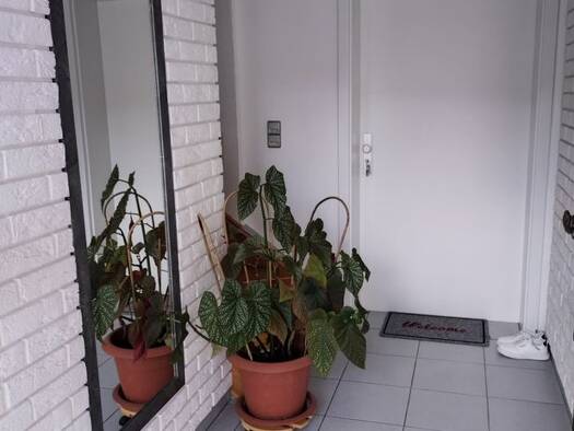 Wohnung zur Miete 850 € 3,5 Zimmer 96 m² 1 Geschosse frei ab sofort Deuerling 93180