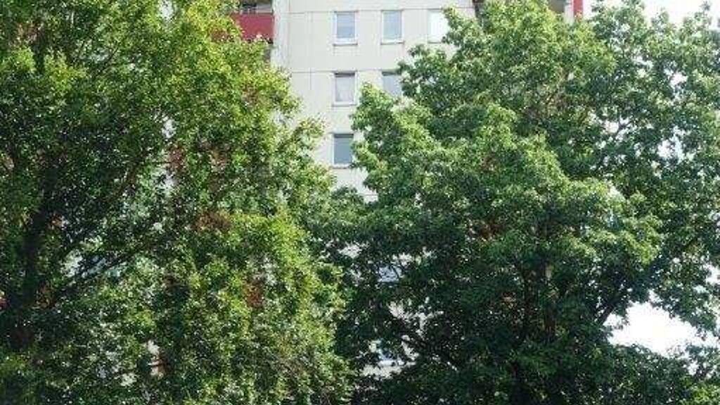 Wohnung zum Kauf als Kapitalanlage geeignet 165.000 € 2 Zimmer 69 m² Pinneberg-Waldenau 25421