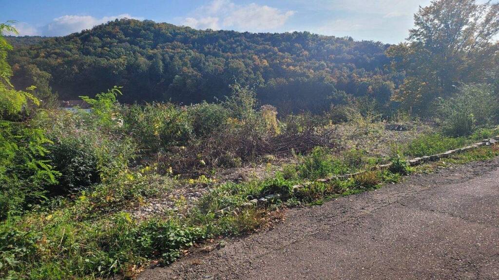 Grundstück zum Kauf 1.242 m² Grundstück Lörrach 79539