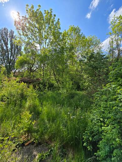 Grundstück zum Kauf 240.000 € 670 m² Grundstück Mössingen Mössingen 72116