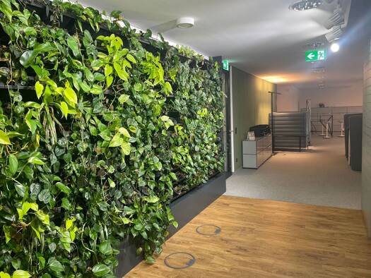 Büro zur Miete provisionsfrei 9.158 € 5 Zimmer 436,1 m² Bürofläche Agrippinawerft 22 Neustadt-Süd Köln 50678