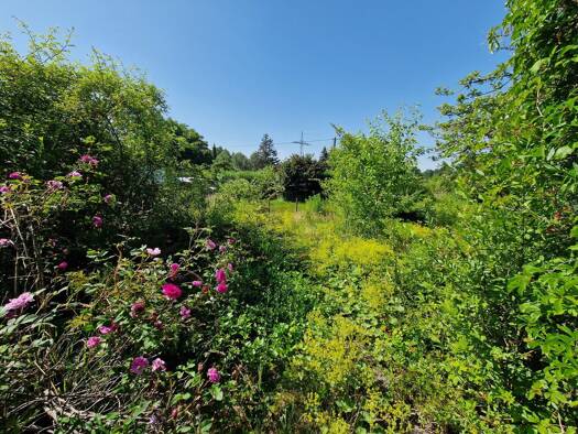 Grundstück zum Kauf 55.555 € 1.292 m² Grundstück frei ab sofort Am Wiesengrund Werdau Werdau 08412