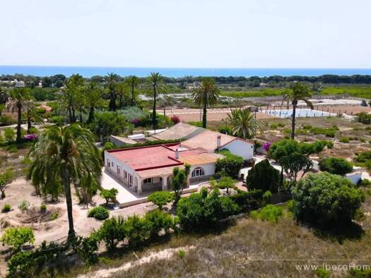 Bauernhaus zum Kauf 539.000 € 5 Zimmer 315 m² Elx / Elche 03194