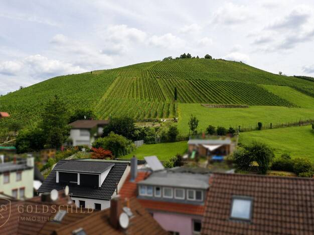 Einfamilienhaus zum Kauf 849.000 € 4,5 Zimmer 145 m² 502 m² Grundstück Untertürkheim Stuttgart / Untertürkheim 70327