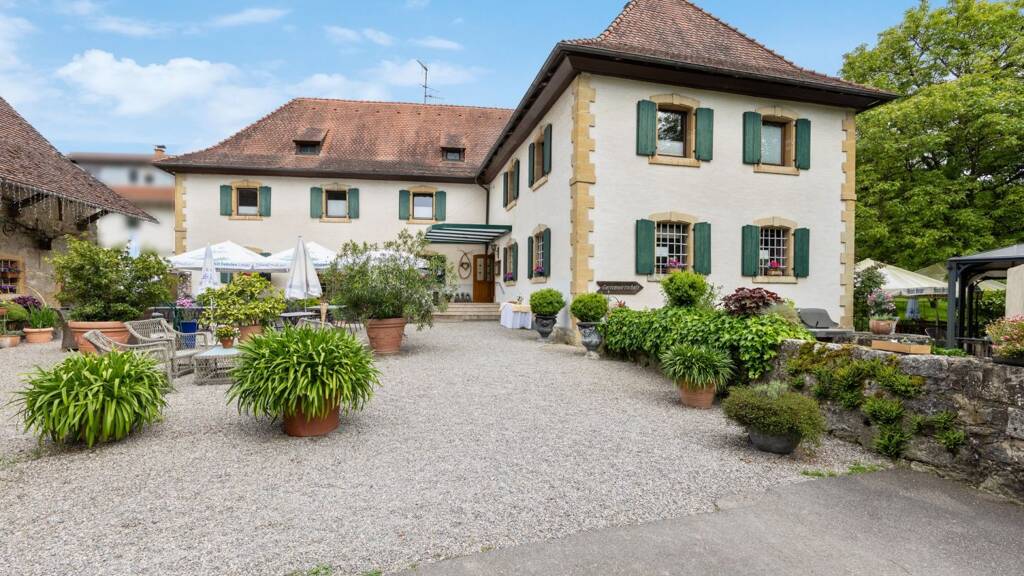 Mehrfamilienhaus zum Kauf 13 Zimmer 441 m² 57.166 m² Grundstück Wintersweiler Efringen-Kirchen 79588