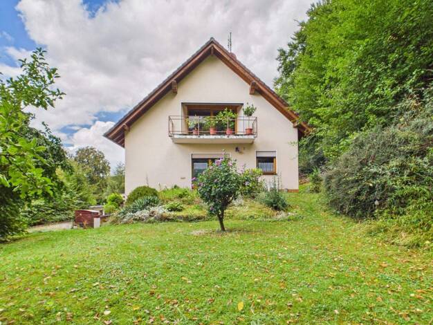 Mehrfamilienhaus zum Kauf 385.000 € 10 Zimmer 380 m² 1.091 m² Grundstück Ulm Greifenstein 35753