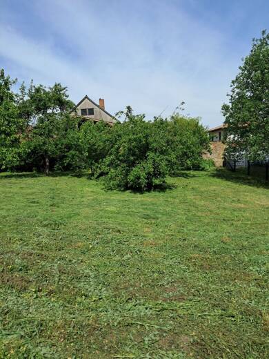 Grundstück zum Kauf provisionsfrei 45.000 € 800 m² Grundstück Parkweg 8 Levitzow Sukow-Levitzow 17168