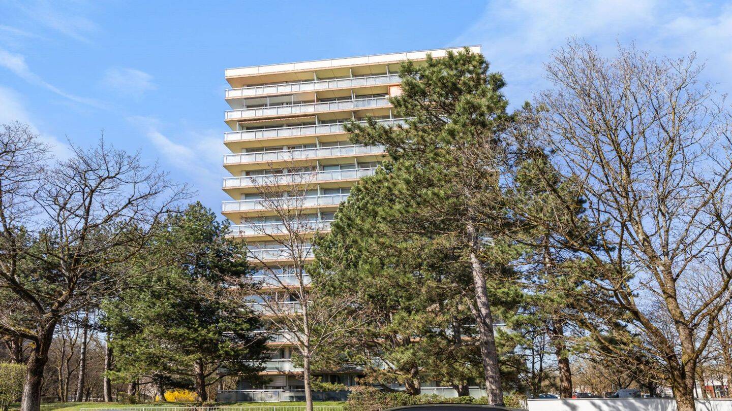 Property thumbnail 17