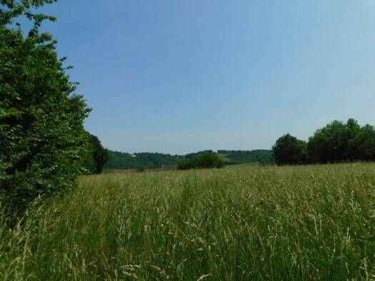 Grundstück zum Kauf 29.000 € 4.600 m² Grundstück Simorre 32420