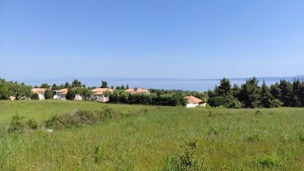 Land-/Forstwirtschaft zum Kauf 340.000 € 4.218 m² Grundstück Chalkidiki