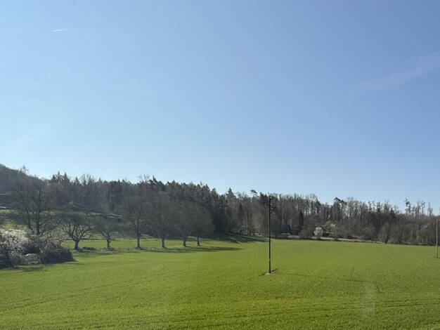 Doppelhaushälfte zum Kauf provisionsfrei 769.000 € 5 Zimmer 140 m² 313 m² Grundstück Oberuhldingen Uhldingen-Mühlhofen 88690