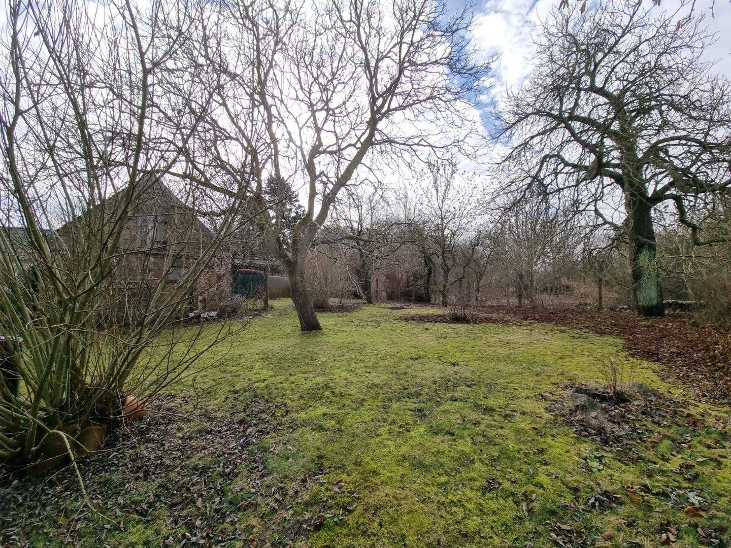 Immobilie in Altenkirchen - Charmantes Einfamilienhaus mit Nebengebäude in ruhiger Lage von Altenkirchen - Bild 4