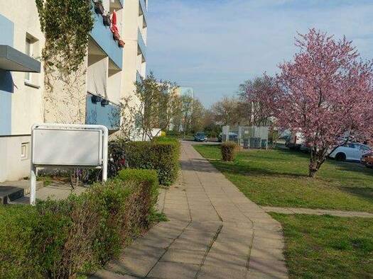 Wohnung zur Miete 251 € 1 Zimmer 34,5 m² EG frei ab 15.02.2026 Max-Herm-Straße 21 Hohenstücken Brandenburg an der Havel 14772