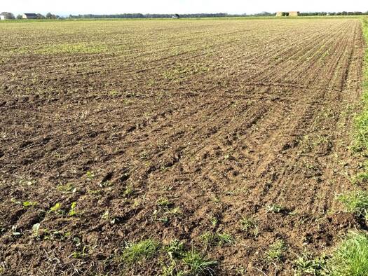 Land-/Forstwirtschaft zum Kauf 145.000 € 13.472 m² Grundstück Dünstekoven Swisttal 53913