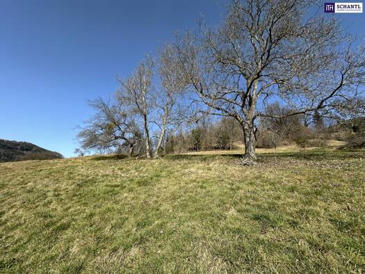 Grundstück zum Kauf 68.000 € 500 m² Grundstück Lindenweg Deutschfeistritz 8121