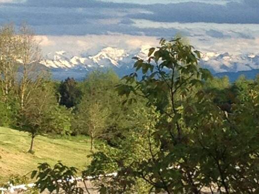 Bauernhof zum Kauf 100.000 m² Grundstück Urlau Leutkirch im Allgäu 88299