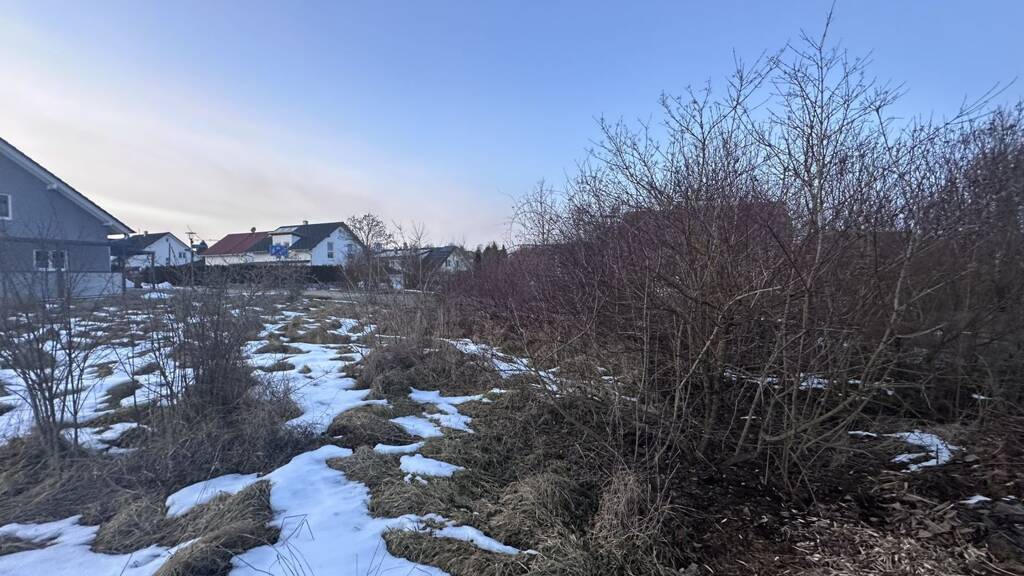 Einfamilienhaus zum Kauf provisionsfrei 541.670 € 5,5 Zimmer 124 m² 501 m² Grundstück Schwenningen Villingen-Schwenningen 78054