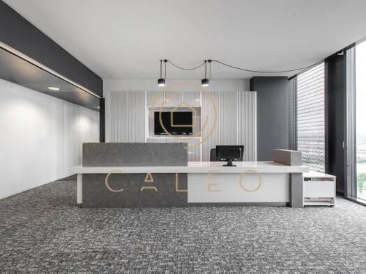 Bürokomplex zur Miete provisionsfrei 300 m² Bürofläche teilbar ab 1 m² Wien 1220
