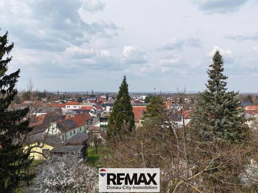 Grundstück zum Kauf 199.000 € 901 m² Grundstück Königstetten 3433