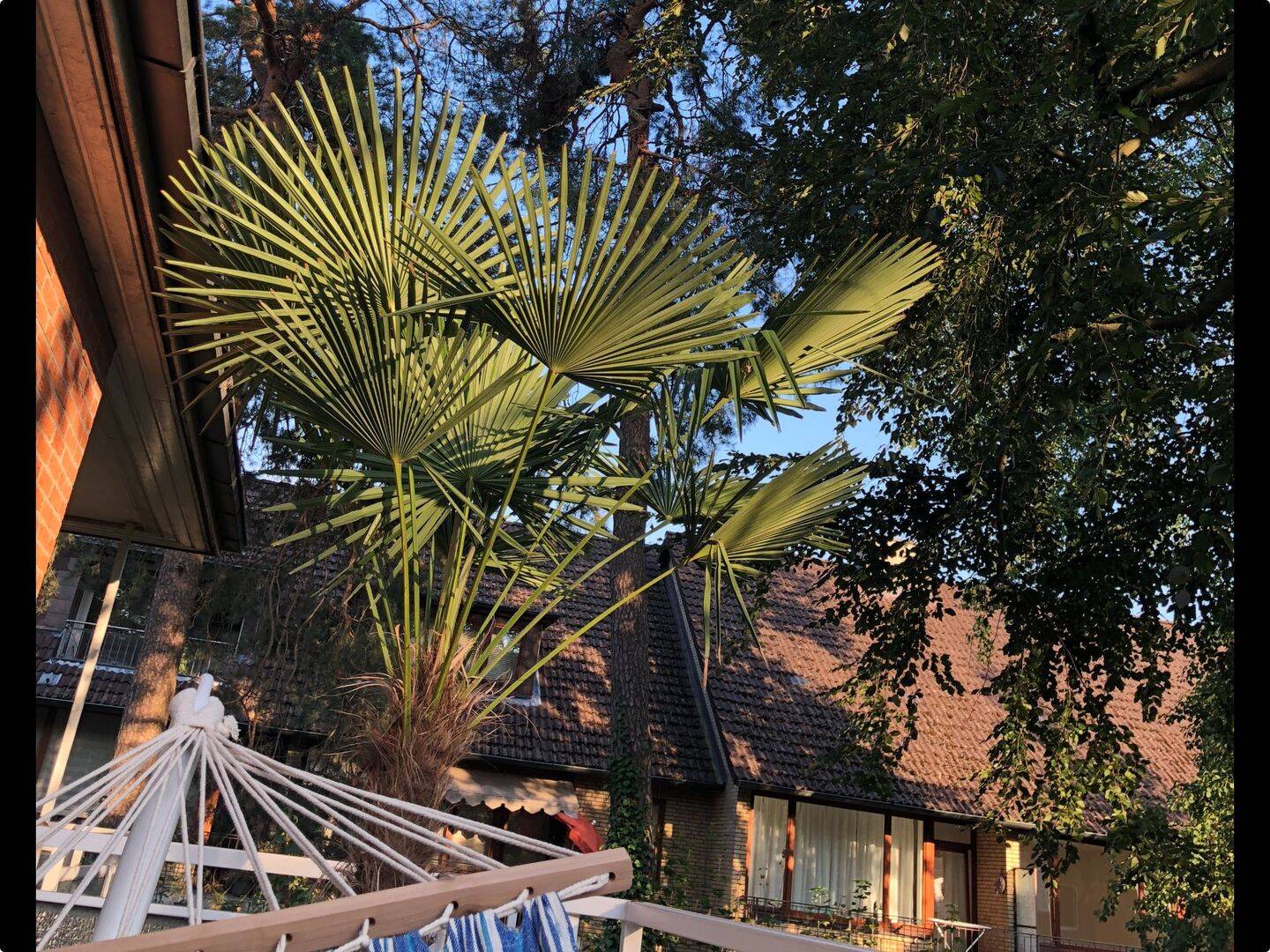 Property thumbnail 7