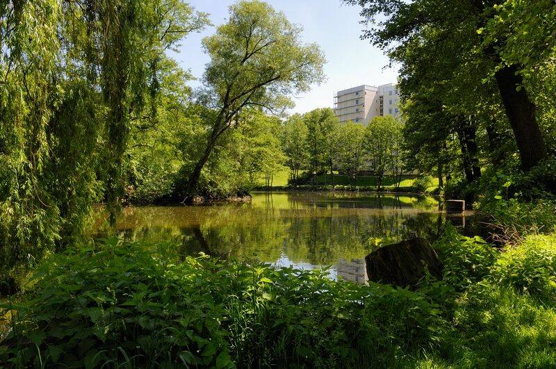 Property thumbnail 5