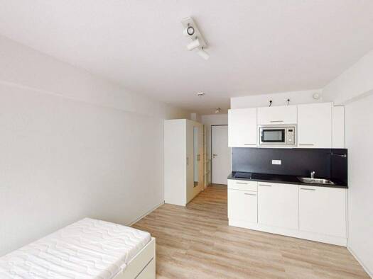 Wohnung zur Miete 465 € 1 Zimmer 18,6 m² 4. Geschoss frei ab 01.03.2026 Kurfürsten-Anlage 70 Bergheim Heidelberg 69115
