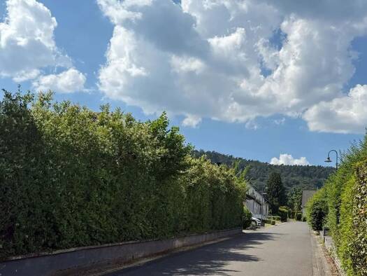 Grundstück zum Kauf provisionsfrei 171.000 € 725 m² Grundstück Föhren 54343