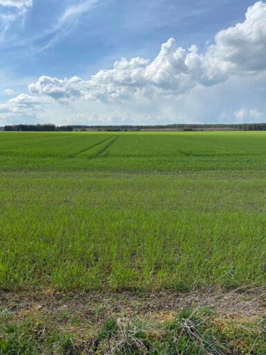 Landwirtschaftliche Fläche zum Kauf 35.258 m² Tangerhütte Tangerhütte 39517