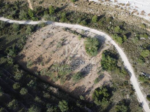 Acker-/Waldstück zum Kauf 18.000 € Cervera del Maestre 12578