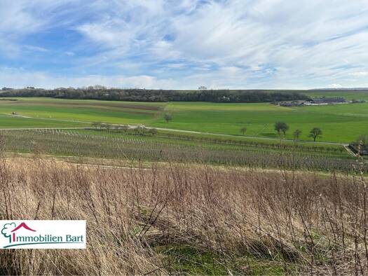 Grundstück zum Kauf 344.800 € 1.292 m² Grundstück Wincheringen 54457