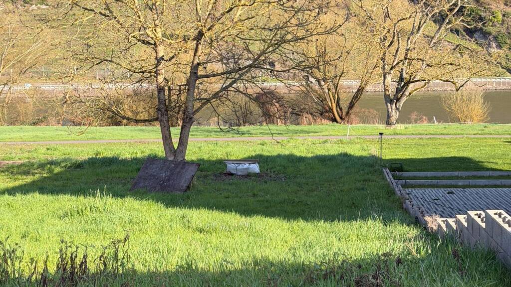 Grundstück zum Kauf provisionsfrei 120.000 € 1.000 m² Grundstück In den Hupen 1 Wolf Traben-Trarbach 56841