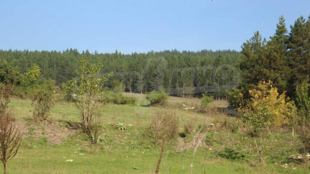 Grundstück zum Kauf 8.500 € Dryanovets