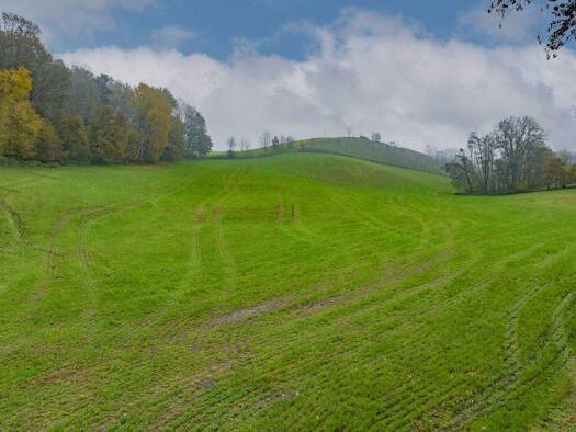 Land-/Forstwirtschaft zum Kauf 156.653 € 20.887 m² Grundstück Kößlarn 94149