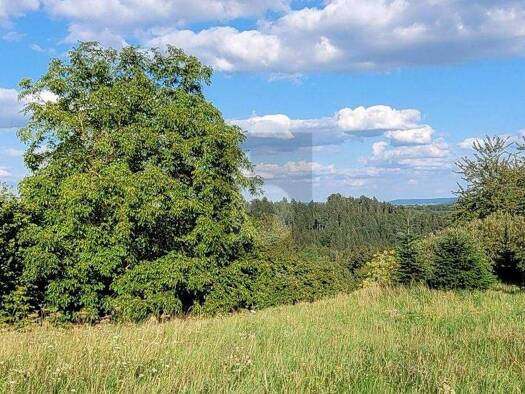 Grundstück zum Kauf 299.000 € 1.053 m² Grundstück Lindach Schwäbisch Gmünd 73527